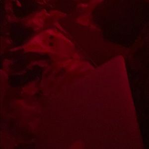 Meet your Posher, Emontee